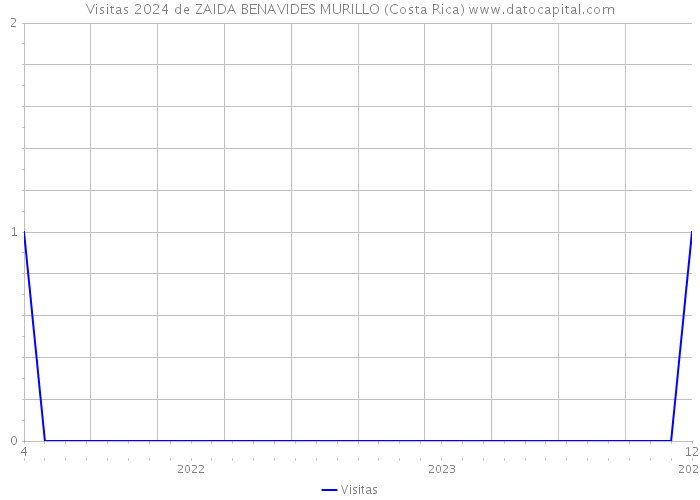 Visitas 2024 de ZAIDA BENAVIDES MURILLO (Costa Rica) 
