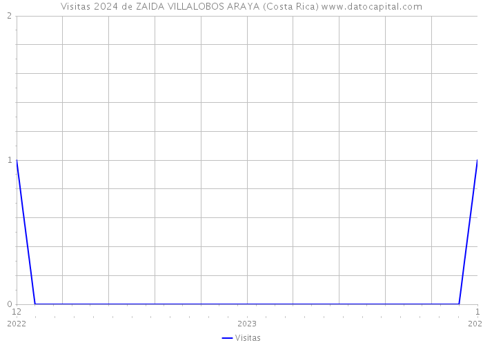 Visitas 2024 de ZAIDA VILLALOBOS ARAYA (Costa Rica) 