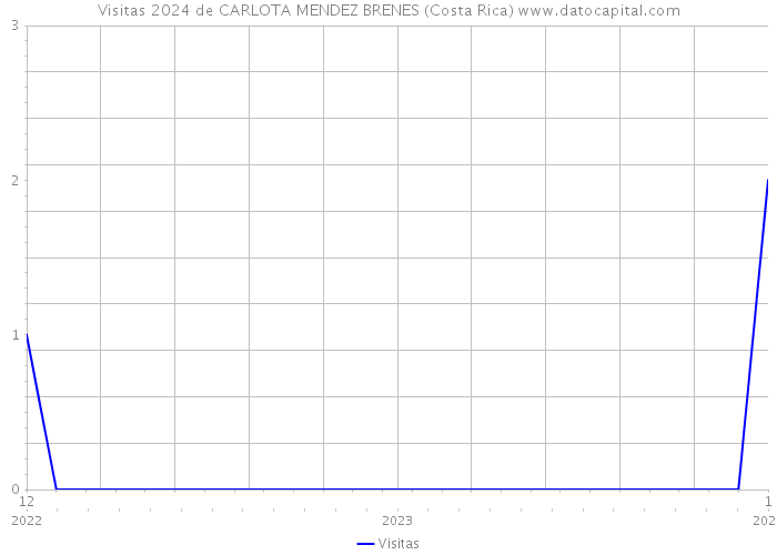 Visitas 2024 de CARLOTA MENDEZ BRENES (Costa Rica) 