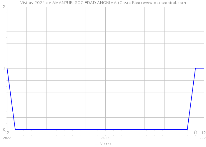 Visitas 2024 de AMANPURI SOCIEDAD ANONIMA (Costa Rica) 