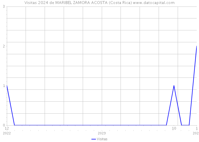 Visitas 2024 de MARIBEL ZAMORA ACOSTA (Costa Rica) 