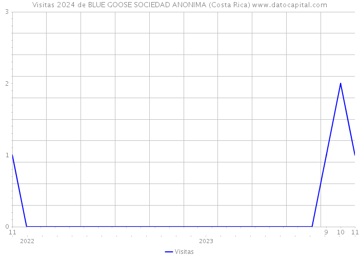 Visitas 2024 de BLUE GOOSE SOCIEDAD ANONIMA (Costa Rica) 