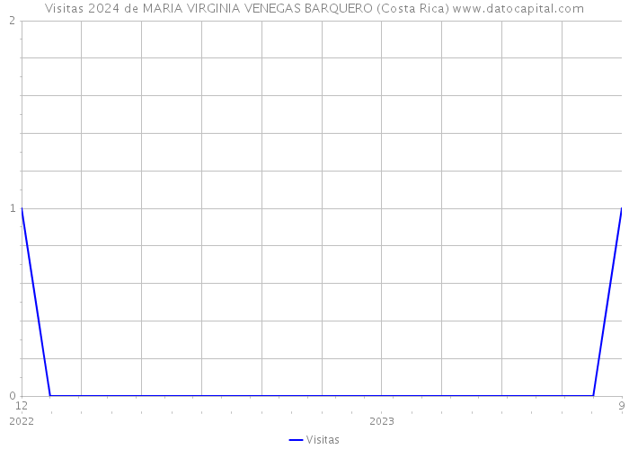 Visitas 2024 de MARIA VIRGINIA VENEGAS BARQUERO (Costa Rica) 