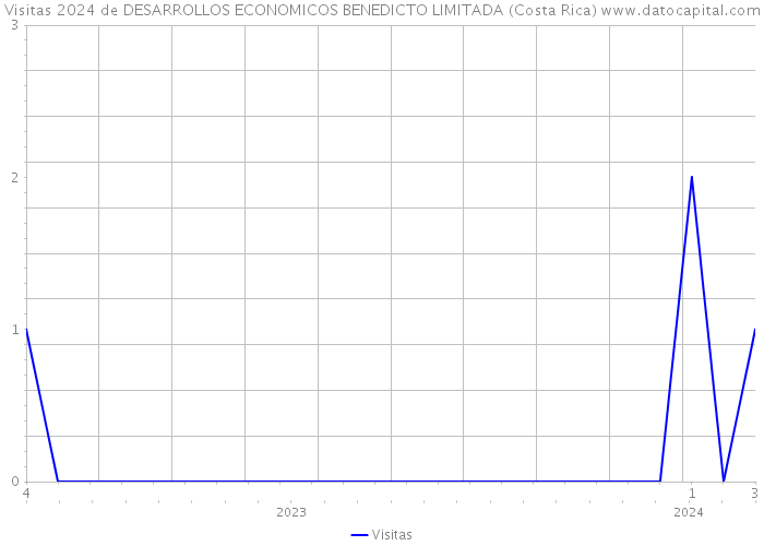 Visitas 2024 de DESARROLLOS ECONOMICOS BENEDICTO LIMITADA (Costa Rica) 
