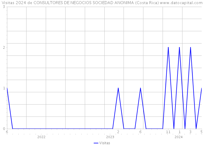 Visitas 2024 de CONSULTORES DE NEGOCIOS SOCIEDAD ANONIMA (Costa Rica) 