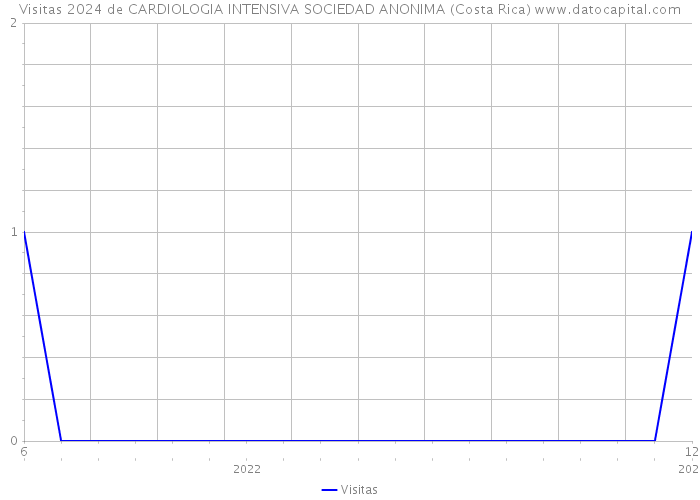 Visitas 2024 de CARDIOLOGIA INTENSIVA SOCIEDAD ANONIMA (Costa Rica) 