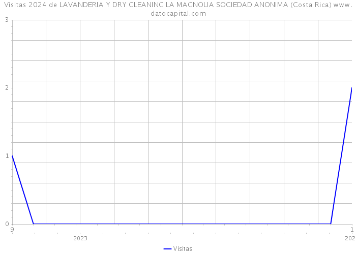 Visitas 2024 de LAVANDERIA Y DRY CLEANING LA MAGNOLIA SOCIEDAD ANONIMA (Costa Rica) 