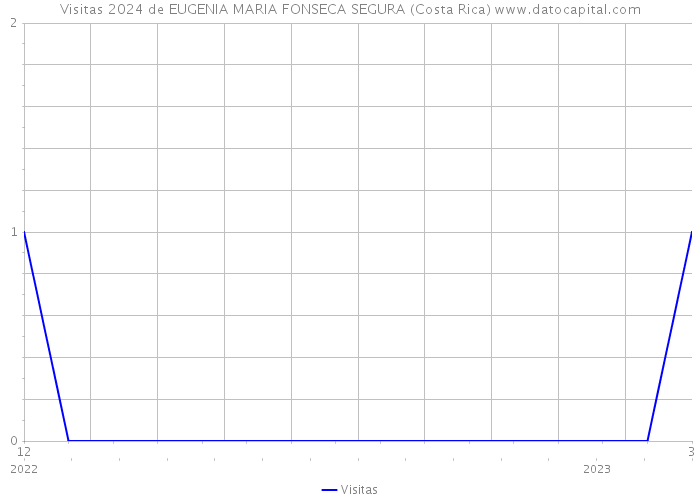 Visitas 2024 de EUGENIA MARIA FONSECA SEGURA (Costa Rica) 
