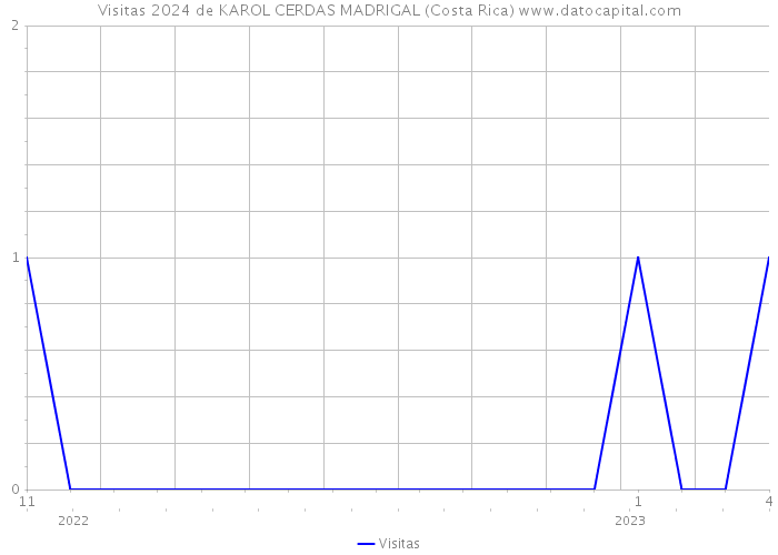 Visitas 2024 de KAROL CERDAS MADRIGAL (Costa Rica) 