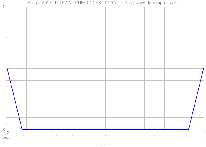 Visitas 2024 de OSCAR CUBERO CASTRO (Costa Rica) 