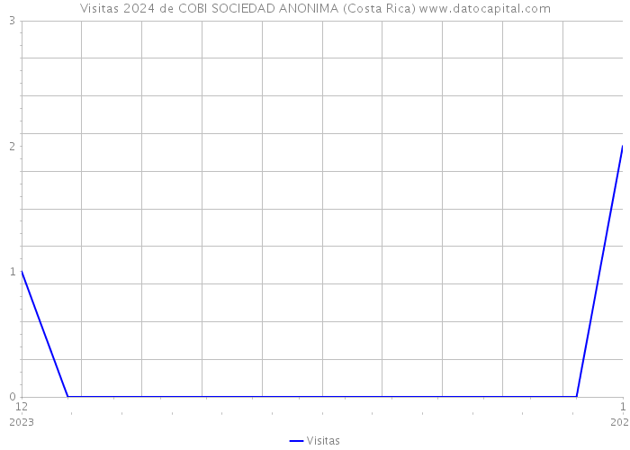 Visitas 2024 de COBI SOCIEDAD ANONIMA (Costa Rica) 