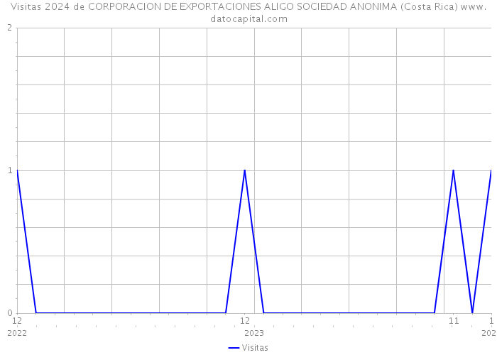 Visitas 2024 de CORPORACION DE EXPORTACIONES ALIGO SOCIEDAD ANONIMA (Costa Rica) 