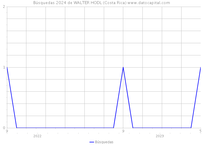 Búsquedas 2024 de WALTER HODL (Costa Rica) 
