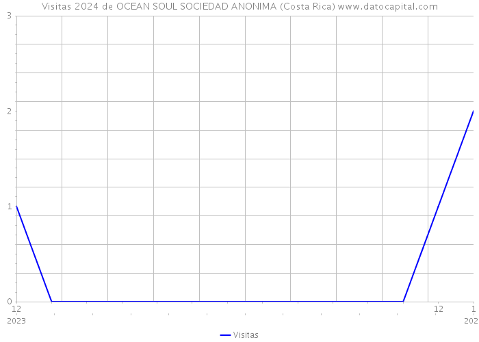 Visitas 2024 de OCEAN SOUL SOCIEDAD ANONIMA (Costa Rica) 