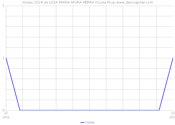 Visitas 2024 de LIGIA MARIA MORA HERRA (Costa Rica) 
