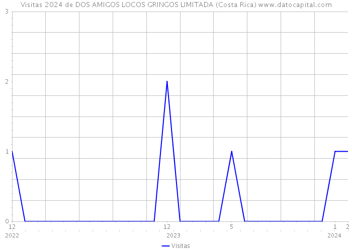 Visitas 2024 de DOS AMIGOS LOCOS GRINGOS LIMITADA (Costa Rica) 