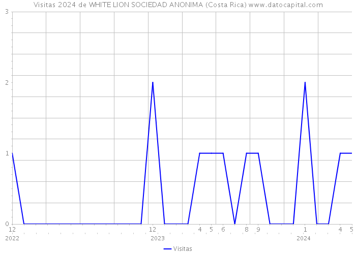 Visitas 2024 de WHITE LION SOCIEDAD ANONIMA (Costa Rica) 