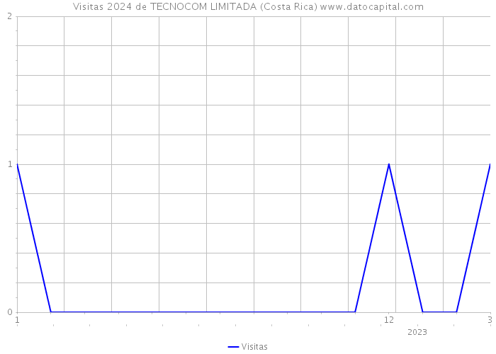 Visitas 2024 de TECNOCOM LIMITADA (Costa Rica) 