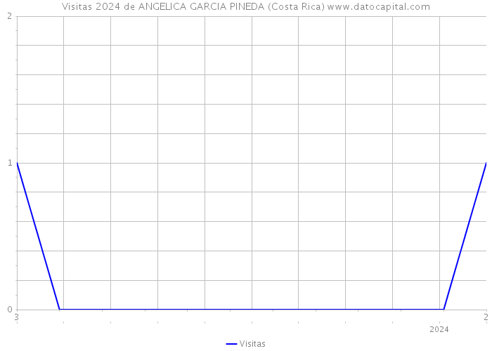 Visitas 2024 de ANGELICA GARCIA PINEDA (Costa Rica) 