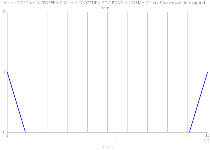 Visitas 2024 de AUTOSERVICIO LA ANGOSTURA SOCIEDAD ANONIMA (Costa Rica) 