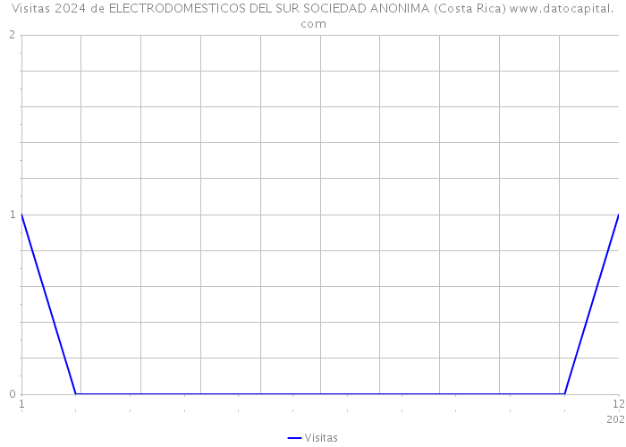 Visitas 2024 de ELECTRODOMESTICOS DEL SUR SOCIEDAD ANONIMA (Costa Rica) 