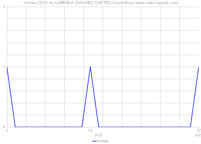 Visitas 2024 de GABRIELA SANCHEZ CORTES (Costa Rica) 