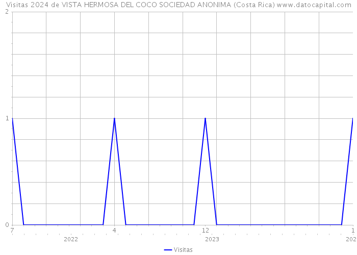 Visitas 2024 de VISTA HERMOSA DEL COCO SOCIEDAD ANONIMA (Costa Rica) 