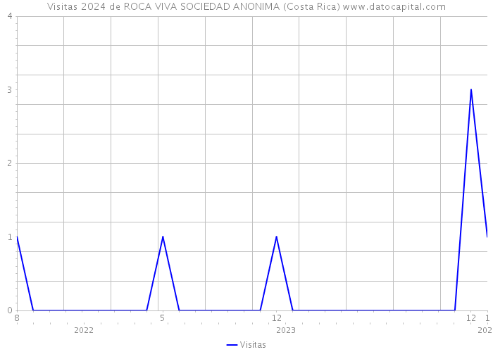 Visitas 2024 de ROCA VIVA SOCIEDAD ANONIMA (Costa Rica) 