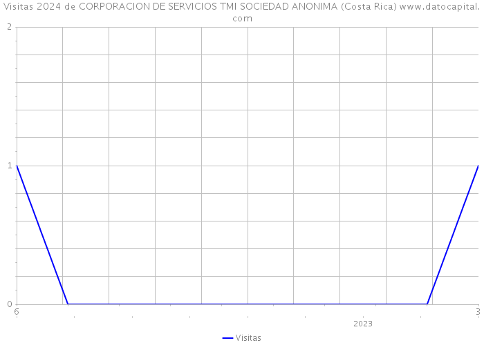 Visitas 2024 de CORPORACION DE SERVICIOS TMI SOCIEDAD ANONIMA (Costa Rica) 