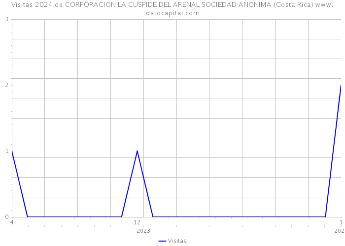 Visitas 2024 de CORPORACION LA CUSPIDE DEL ARENAL SOCIEDAD ANONIMA (Costa Rica) 