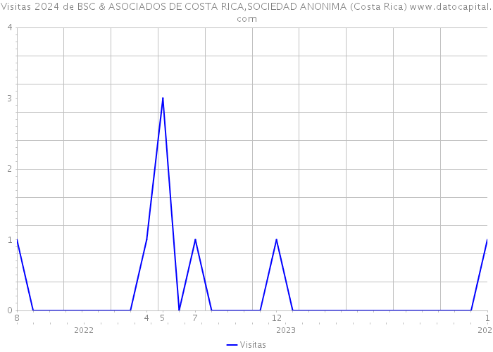 Visitas 2024 de BSC & ASOCIADOS DE COSTA RICA,SOCIEDAD ANONIMA (Costa Rica) 