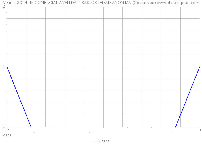 Visitas 2024 de COMERCIAL AVENIDA TIBAS SOCIEDAD ANONIMA (Costa Rica) 