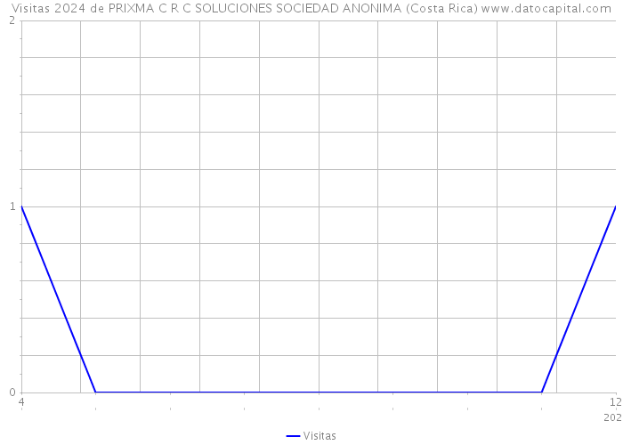Visitas 2024 de PRIXMA C R C SOLUCIONES SOCIEDAD ANONIMA (Costa Rica) 