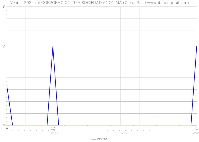 Visitas 2024 de CORPORACION TIPA SOCIEDAD ANONIMA (Costa Rica) 