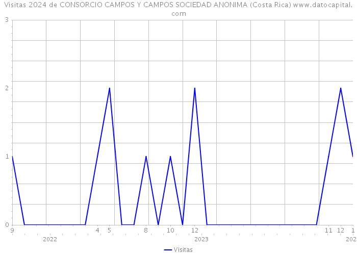 Visitas 2024 de CONSORCIO CAMPOS Y CAMPOS SOCIEDAD ANONIMA (Costa Rica) 
