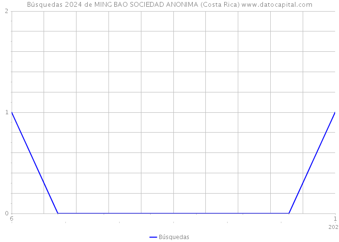 Búsquedas 2024 de MING BAO SOCIEDAD ANONIMA (Costa Rica) 