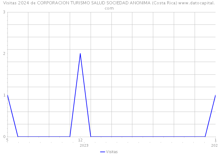 Visitas 2024 de CORPORACION TURISMO SALUD SOCIEDAD ANONIMA (Costa Rica) 