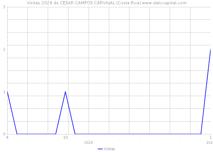 Visitas 2024 de CESAR CAMPOS CARVAJAL (Costa Rica) 
