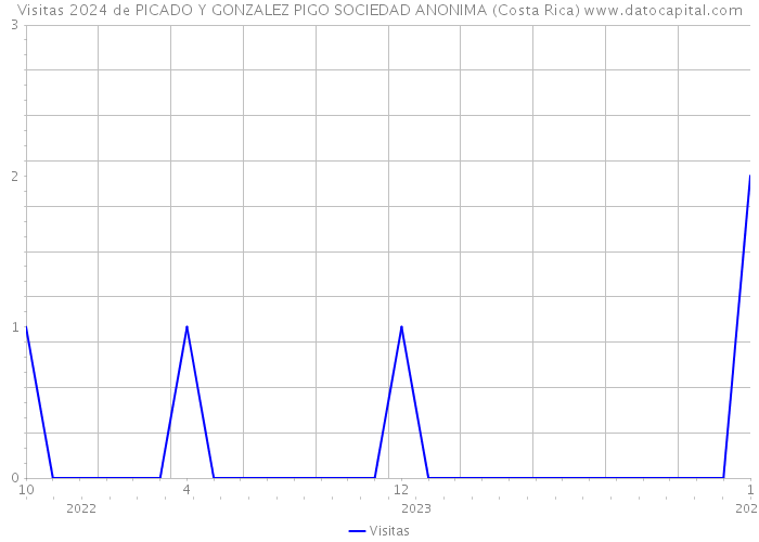 Visitas 2024 de PICADO Y GONZALEZ PIGO SOCIEDAD ANONIMA (Costa Rica) 