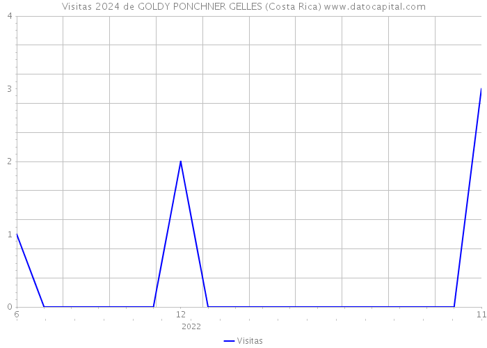 Visitas 2024 de GOLDY PONCHNER GELLES (Costa Rica) 