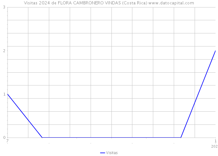 Visitas 2024 de FLORA CAMBRONERO VINDAS (Costa Rica) 