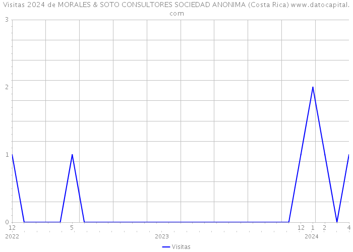 Visitas 2024 de MORALES & SOTO CONSULTORES SOCIEDAD ANONIMA (Costa Rica) 
