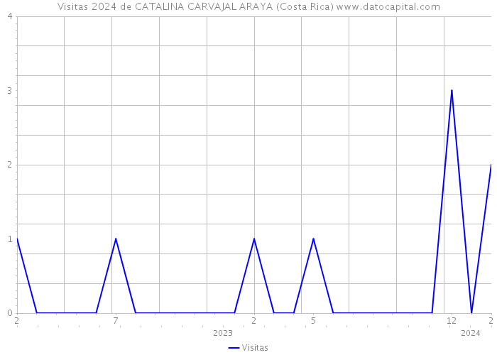 Visitas 2024 de CATALINA CARVAJAL ARAYA (Costa Rica) 