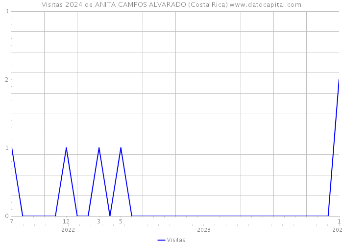Visitas 2024 de ANITA CAMPOS ALVARADO (Costa Rica) 