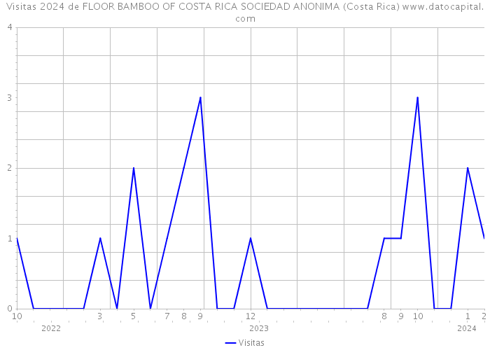 Visitas 2024 de FLOOR BAMBOO OF COSTA RICA SOCIEDAD ANONIMA (Costa Rica) 