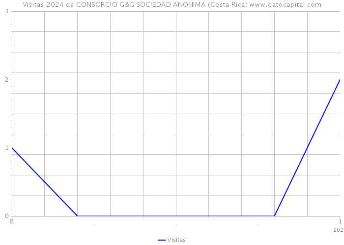Visitas 2024 de CONSORCIO G&G SOCIEDAD ANONIMA (Costa Rica) 