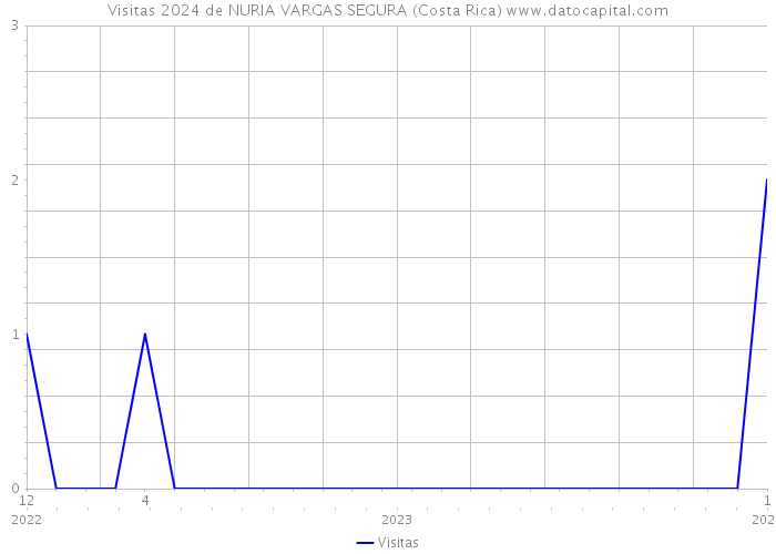 Visitas 2024 de NURIA VARGAS SEGURA (Costa Rica) 