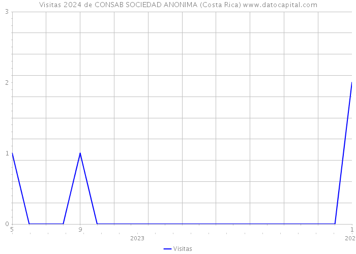 Visitas 2024 de CONSAB SOCIEDAD ANONIMA (Costa Rica) 