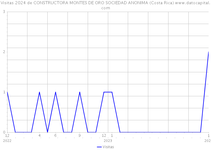Visitas 2024 de CONSTRUCTORA MONTES DE ORO SOCIEDAD ANONIMA (Costa Rica) 