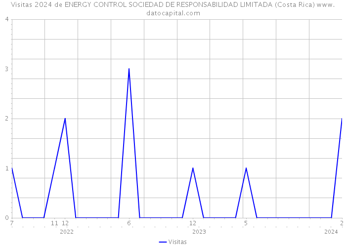 Visitas 2024 de ENERGY CONTROL SOCIEDAD DE RESPONSABILIDAD LIMITADA (Costa Rica) 